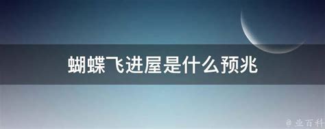 蝴蝶飞进家里代表什么|家里飞来蝴蝶代表什么意思